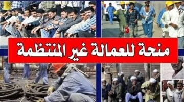 طريقة الاستعلام عن منحة العمالة الغير منتظمة بالرقم القومي 2026