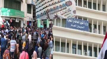 كيفية الاستعلام عن منحة العمالة الغير منتظمة بالرقم القومي 2026