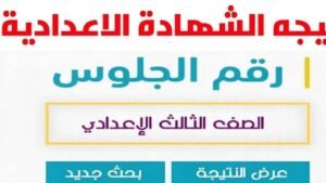 نتيجة natiga qalubiaedu org تالته اعدادي قليوبية رابط
