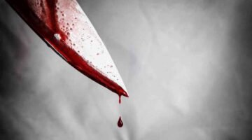 فطوعت له نفسه قتل أخيه.. قابيل وهابيل كرداسة في دراما الميراث.. شقيق ينهي حياة أخيه بطعنة نافذة أمام أعين والدتهما