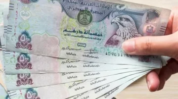 سعر الدرهم الإماراتي اليوم السبت 28 مارس 2026 أمام الجنيه المصري