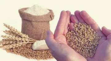 مقدار زكاة الفطر 2026