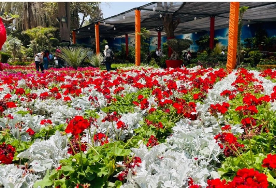 معرض الزهور 2026