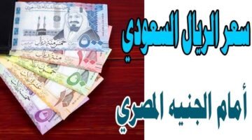 استقرار سعر الريال السعودي امام الجنية المصري الأحد 19 أبريل 2026.. اعرف قبل الحج