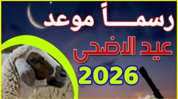 موعد وقفة عرفات وعيد الأضحى 2026.. تعرف على الإجازات الرسمية المتبقية حتى نهاية العام
