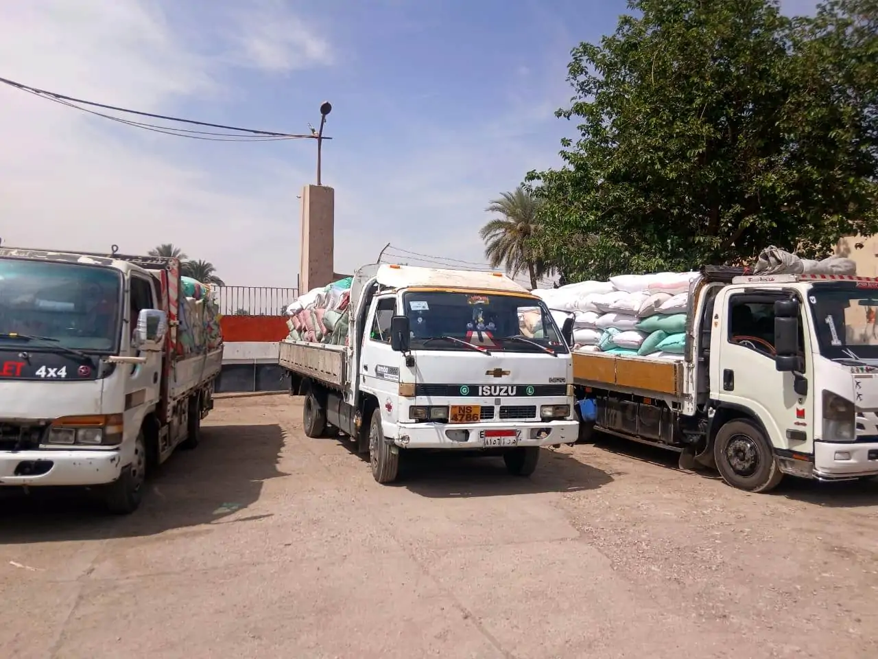 سوهاج