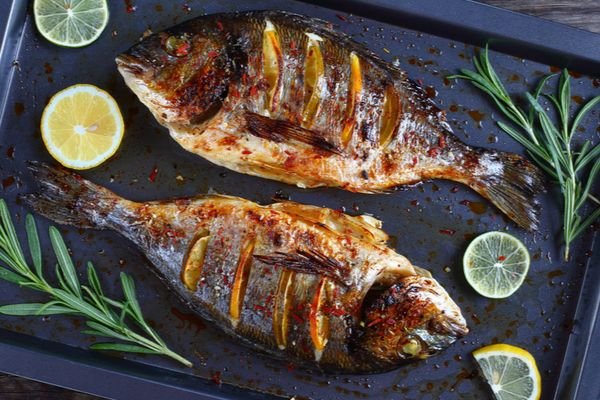 أسعار السمك اليوم للمستهلك في الأسواق المصرية (الجمعة 10 أبريل 2026)