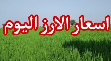سعر الأرز الشعير الآن 2026 في مصر الإثنين 18/5/2026 رفيع وعريض الحبة بالأسواق.. استقرار ملحوظ لأهم طبق على مائدة الطعام المصرية