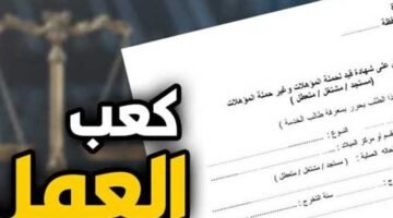 بوابة مصر الرقمية كعب العمل.. طريقة استخراج كعب العمل رقميًا للتقديم في الوظائف الحكومية