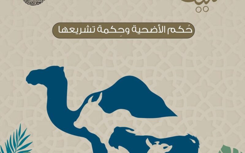 ما هو حُكم الأضحية وحِكمة تشريعها؟.. مركز الأزهر يجيب