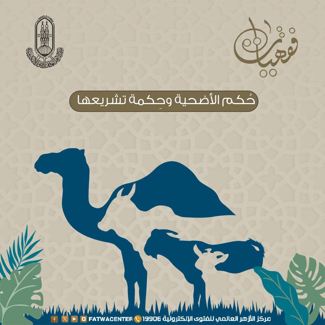 ما هو حُكم الأضحية وحِكمة تشريعها؟.. مركز الأزهر يجيب