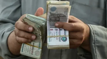 منحه التموين مايو 2026: موعد صرف منحه تكافل وكرامه 400 جنيه التمونيية والفئات المستحقة