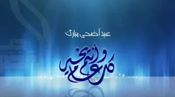 الحكومة: توفير كميات كبيرة من السلع واللحوم والدواجن لاستقرار السوق خلال عيد الأضحى