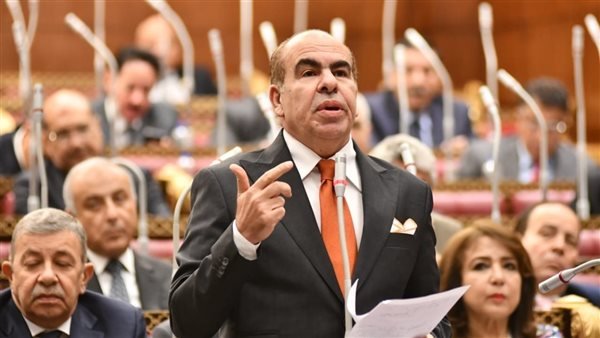 ياسر الهضيبي - عضو مجلس النواب