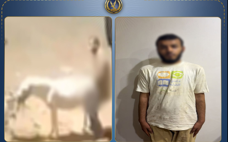 ضربه وعذبه.. القبض على شخص اعتدى على حمار بـ قطعة أرض في القليوبيه