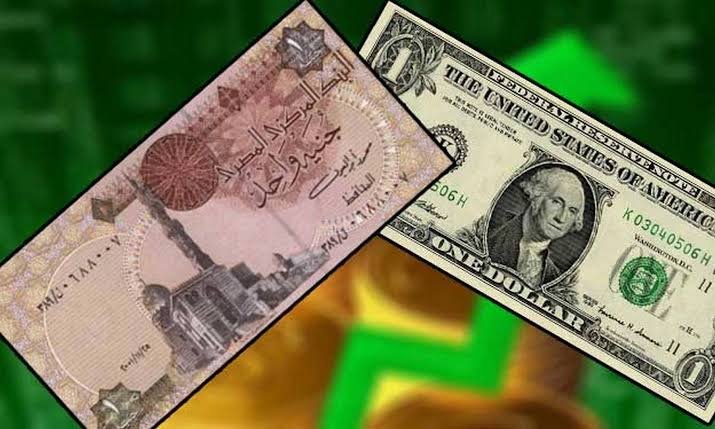 استقرار سعر الدولار أمام الجنيه المصري في بداية تعاملات الأربعاء