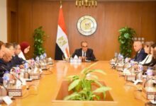 وزارة الخارجية تستضيف الحوار الاستراتيجي مع شركاء التنمية في مصر