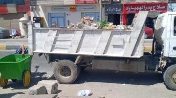 رفع القمامة من شوارع المنيا