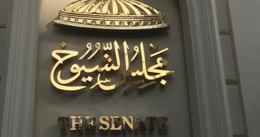 نائب بالشيوخ: قطاع الدواجن يمثل المصدر الرئيسي للبروتين الحيواني للملايين من الأسر المصرية