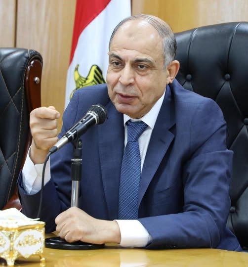 محافظ المنيا