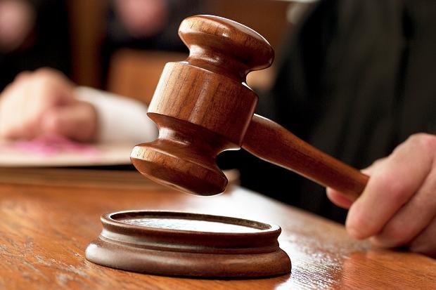 جنح ثالث أكتوبر تصدر حكمًا ببراءة المتهمة بتسميم الكلاب في كمبوند شهير
