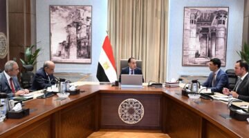 الشمس هتنور بيتك بالليل.. رئيس الوزراء يكلف بعرض الصورة النهائية لمبادرة ألواح الطاقة الشمسية للمنازل والمصانع 11