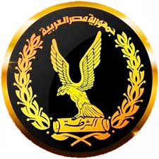 مباحث الآداب تضبط صانع محتوى حرض على العنف وخدش الحياء العام على تيك توك