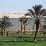الفيوم