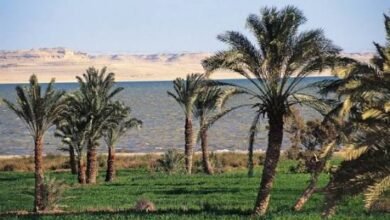 الفيوم