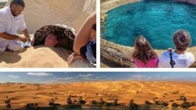 السياحة العلاجية