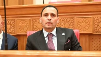 برلماني: زيارة الرئيس الصيني تفتح مرحلة جديدة من الاستثمارات بين البلدين النائب إسلام التلواني